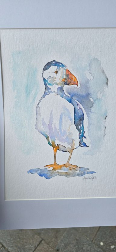 Aquarella-Sylt Puffin