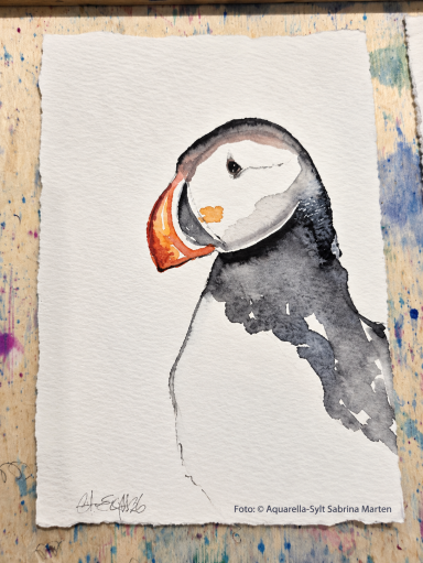 Puffin Aquarella-Sylt